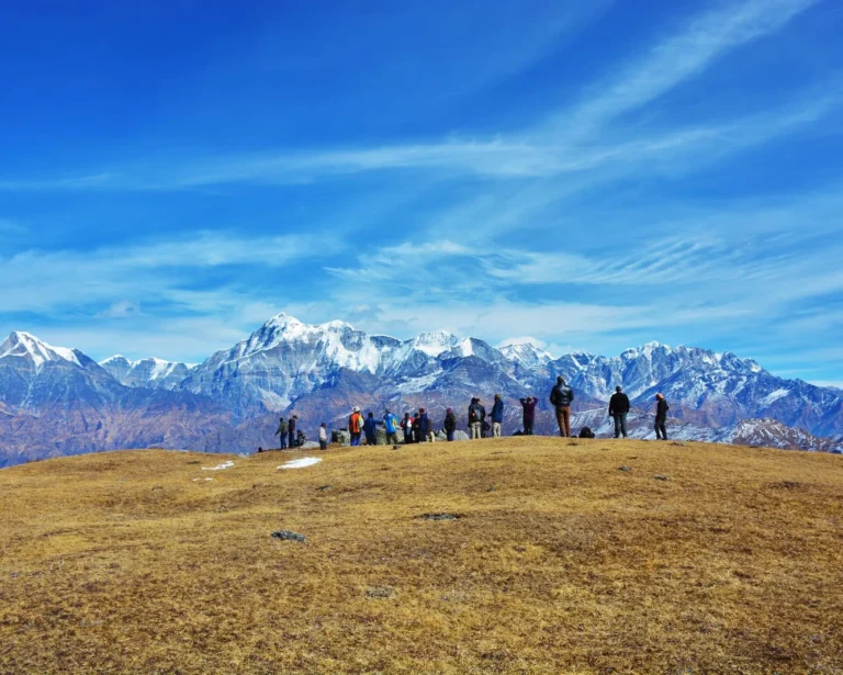 Trekkers on a golden meadow facing a wide Himalayan panorama